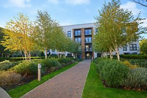 Photo 9- click for photo gallery